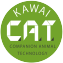 KAWAI CAT